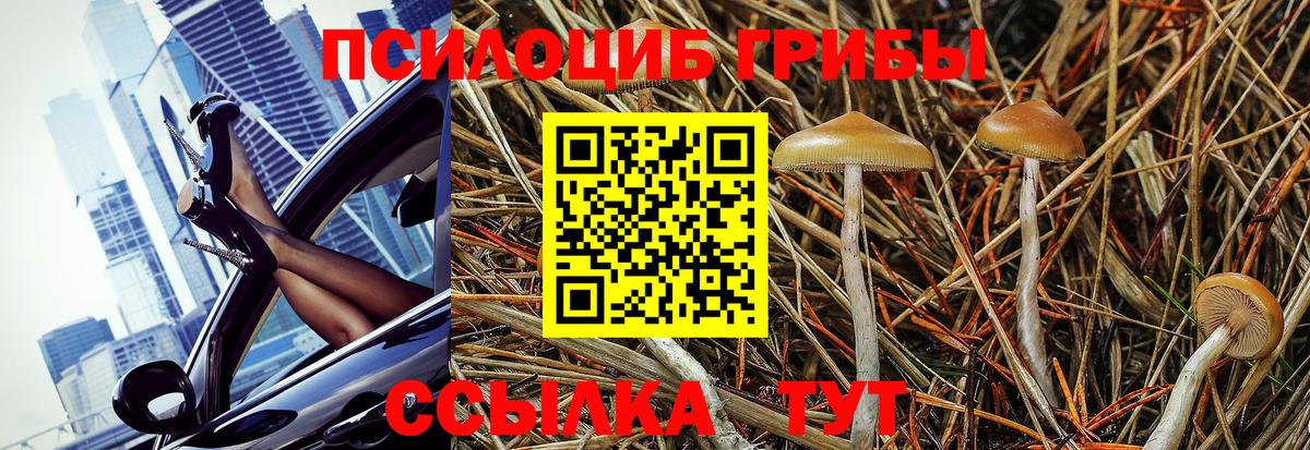 Псилоцибиновые грибы GOLDEN TEACHER Симферополь