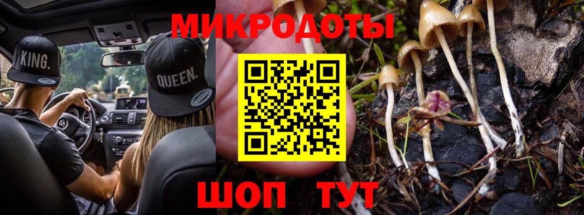 сколько стоит  Вход с VPN  Симферополь  Галлюциногенные грибы GOLDEN TEACHER  Галлюциногенные грибы Psilocybine cubensis 